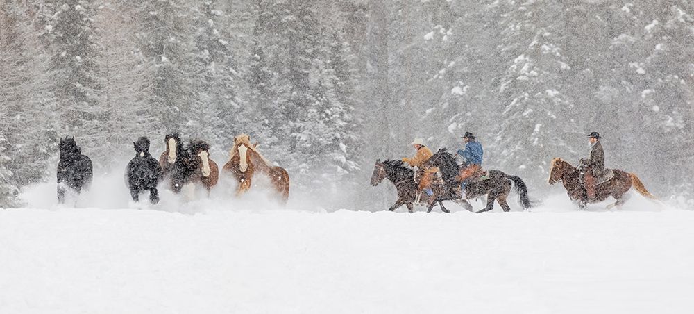 Panoramic view of cowboys during winter roundup-Kalispell-Montana art print by Adam Jones for $57.95 CAD
